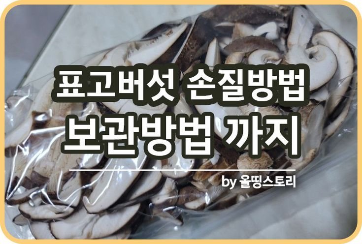 표고버섯 보관하는 방법 표고버섯손질 냉동보관_썸네일
