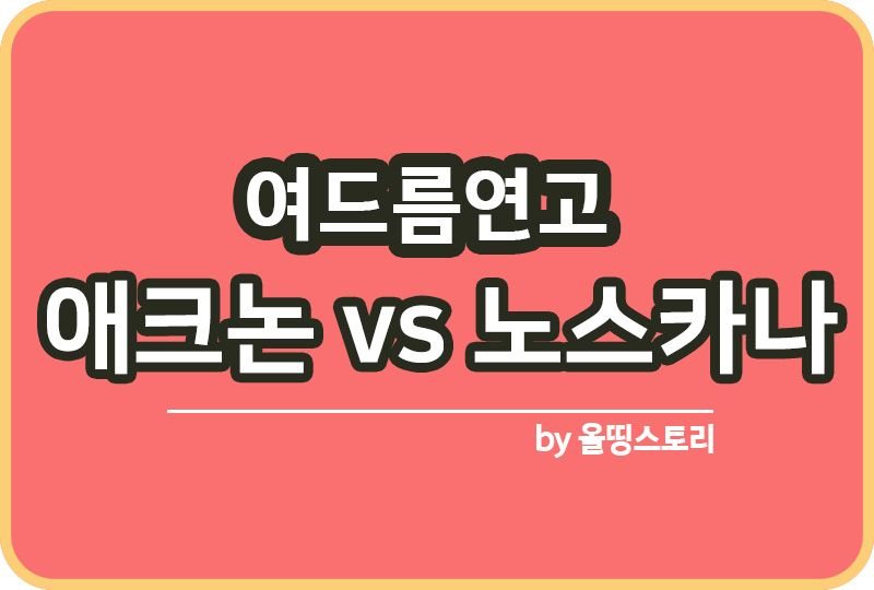 여드름연고 비교 애크논크림 노스카나 사용방법_썸네일