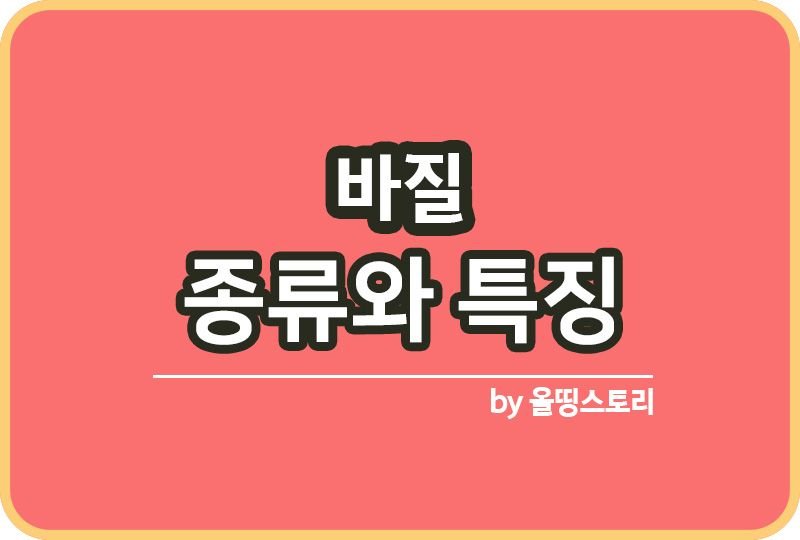 집에서 바질 키우기 바질의 효능, 레시피까지 바질요리 방법_썸네일