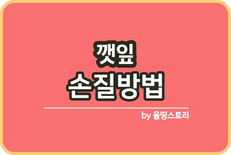 깻잎 손질하는 방법과 깻잎요리 레시피 4가지_썸네일