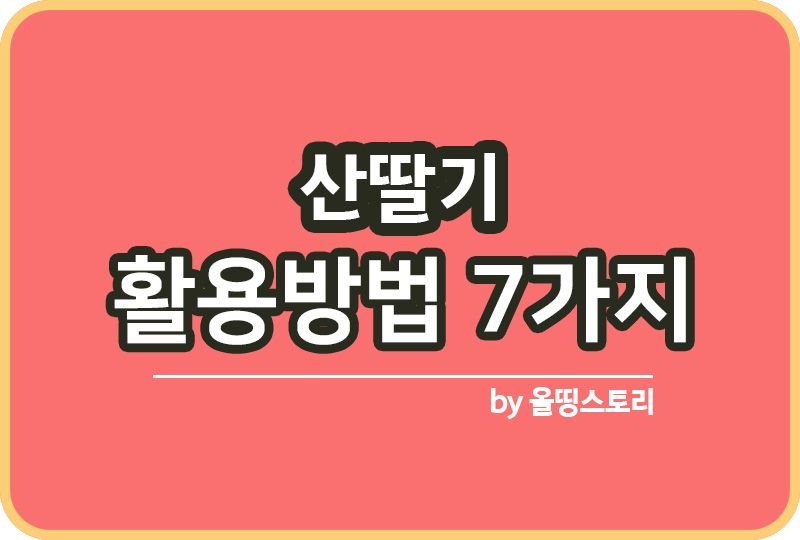 산딸기 7가지 활용방법과 종류_썸네일