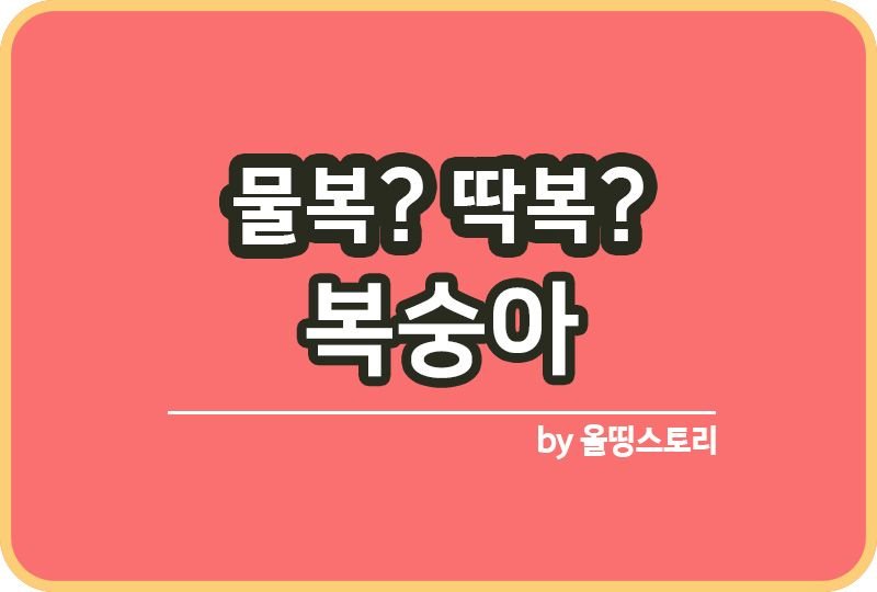 복숭아 종류와 효능 보관방법까지_썸네일