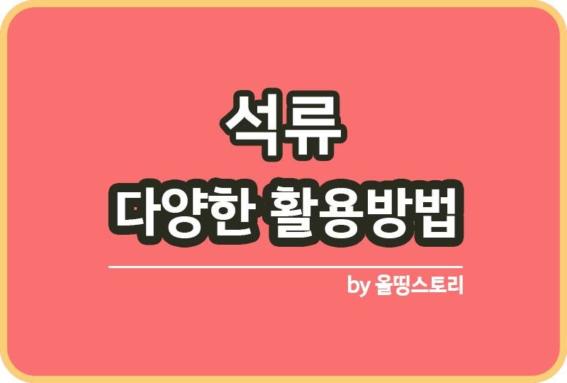 석류 효능과 다양한 활용방법_썸네일