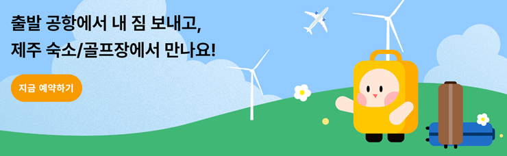 짐캐리에어패스 이용방법 제주공항에어패스 제주에어패스 짐캐리_1