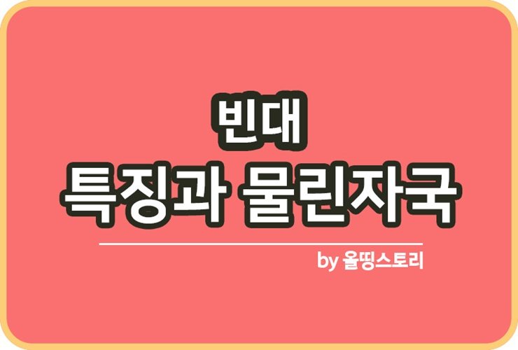 빈대 빈대특징 빈대습성 빈대물림증상 알아보기_썸네일