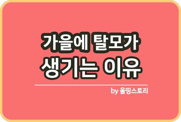 가을에 탈모 생기는 이유와 대처방법 알아보기_썸네일