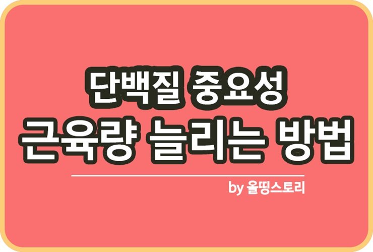 단백질 중요성과 역할 근손실이유 근육량늘리는방법_썸네일
