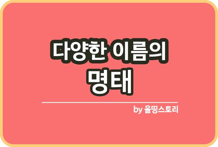명태 다양한이름 동태 코다리 황태 북어 노가리_썸네일