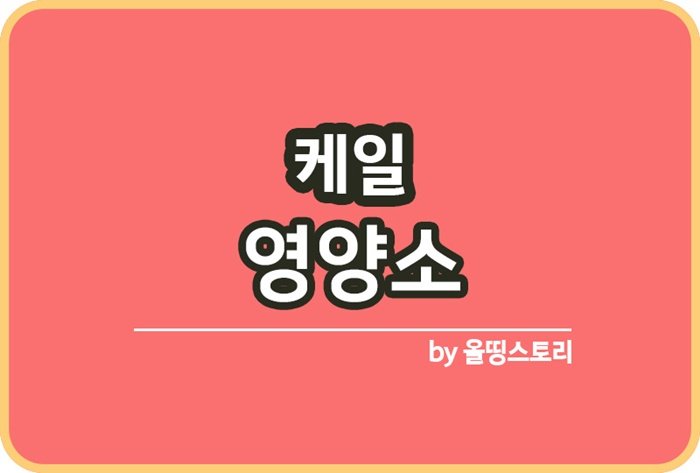 케일 효능 케일영양소 케일특징 케일요리_썸네일