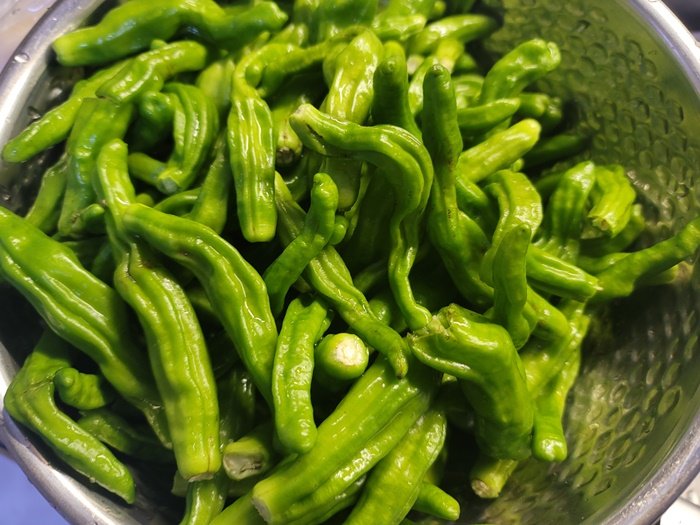 꽈리고추 조림 레시피 꽈리고추요리 간단반찬_1