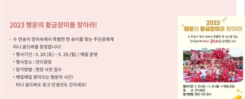 곡성세계장미축제 2023일정 가는방법_5