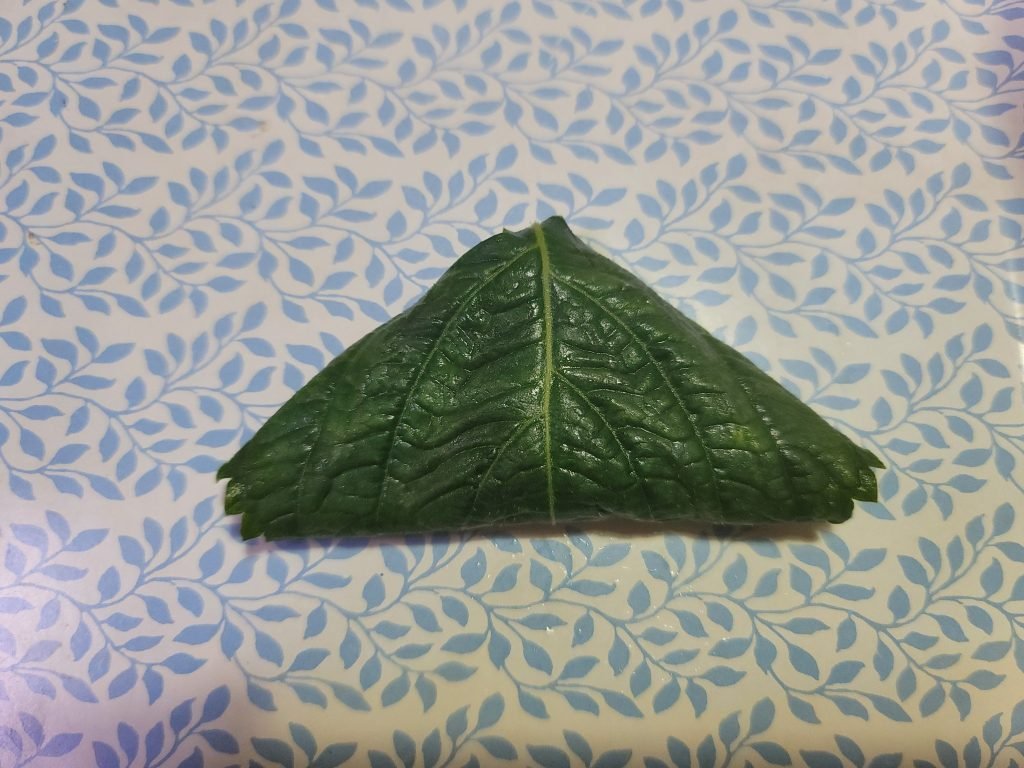 깻잎고기전 레시피 깻잎전 만드는 방법 냉동만두소활용_4