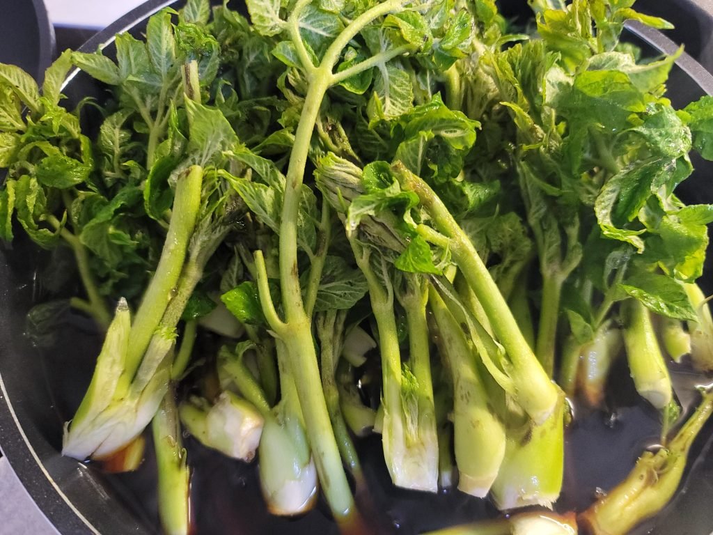 두릅장아찌 레시피 두릅요리 만드는 방법_4