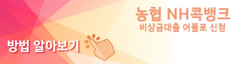 농협 NH콕비상금대출 대출조건 기간 무직자 주부대출 신청방법_2