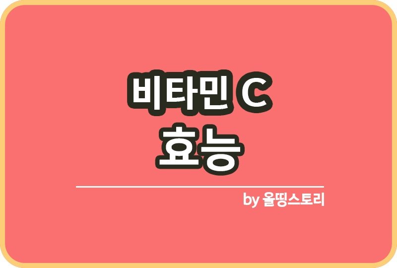 비타민C 효능 권장섭취량 부작용_썸네일