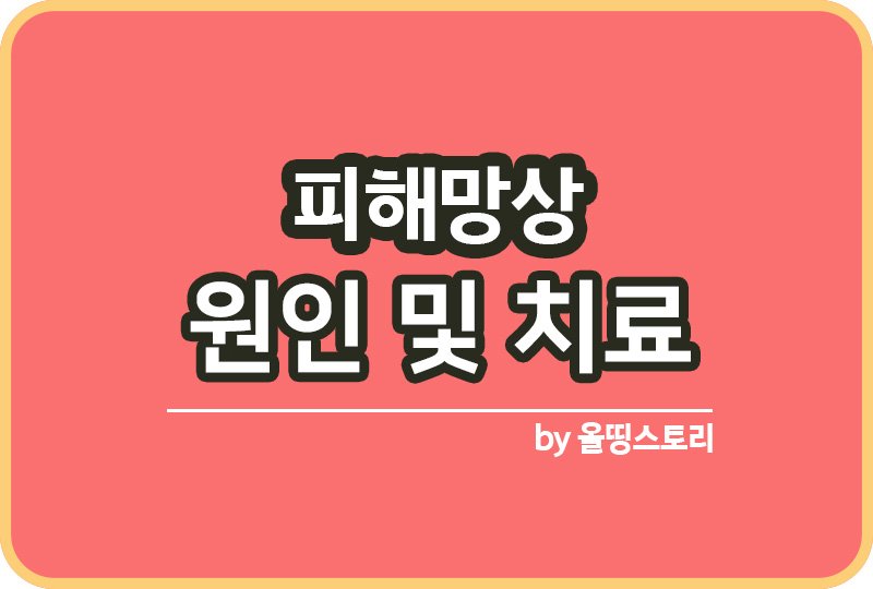 피해망상 증상 원인 피해망상치료방법 예방_썸네일
