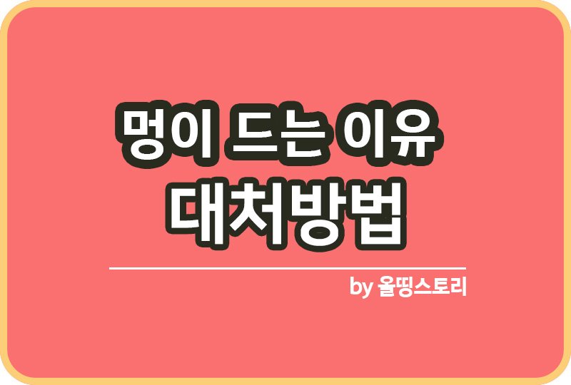 멍이드는이유 멍생겼을때 멍예방방법 멍생기는이유_썸네일