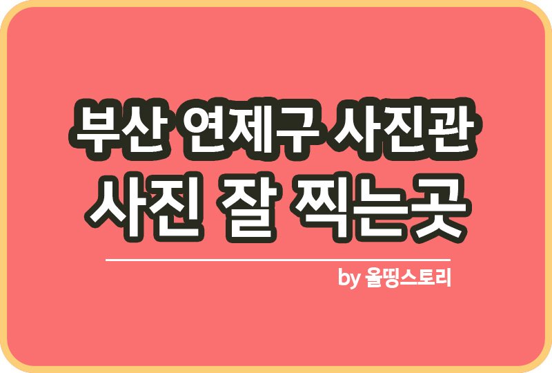 부산 연제구 사진관 스튜디오 | 증명사진 | 여권사진 | 가족사진 | 커플사진 추천_썸네일