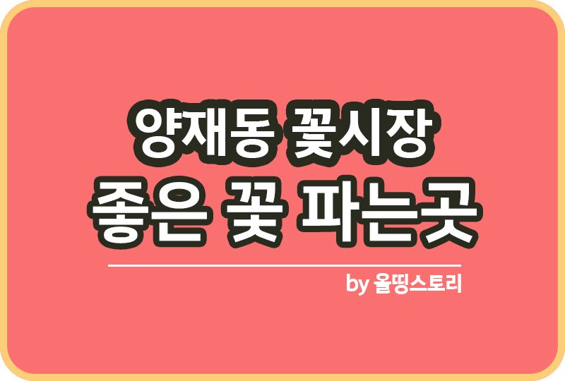 양재동 꽃시장 |  꽃시장추천 |  서울 꽃시장_썸네일